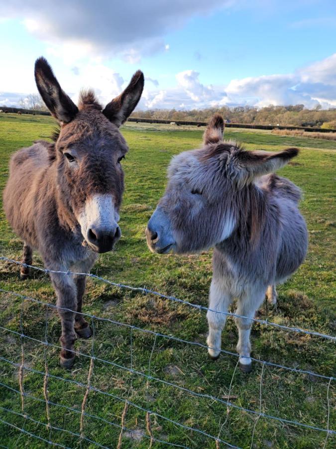Farmhouse B&B Family Stay Or Romantic Break, On Our Smallholding Close To Narberth Exterior foto